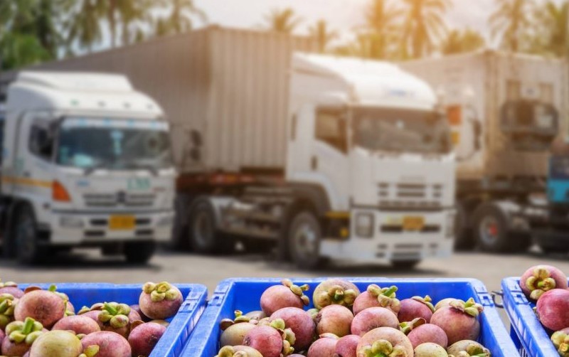 Gửi Trái Cây Đi Mỹ Được Không